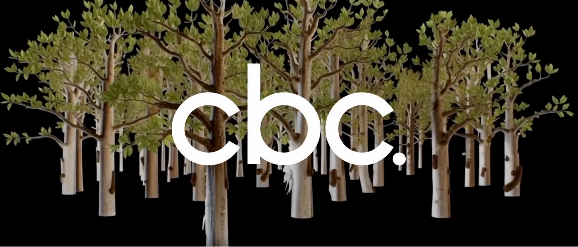 Tree silhouette with 'cbc.' logo in the center on a black background